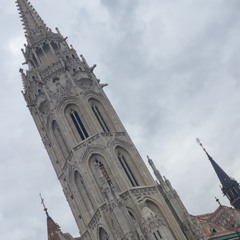 dilly dally (birdbusinness)