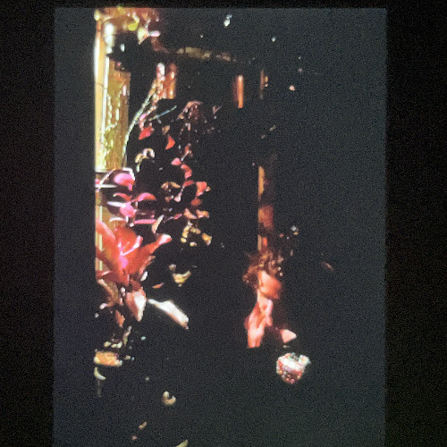 Santa Barbara (demo)