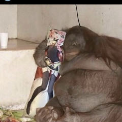 Lud Foe See Me Comin