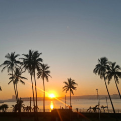 Another Day In Paradise