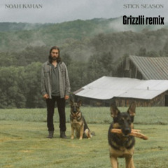 Noah Kahn Stick Season- (Grizzlii remix)