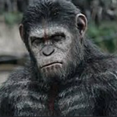 Laywee4k x monkey jungle