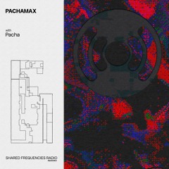 PACHAMAX | pacha invites feliris | September 2023