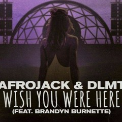 Afrojack & DLMT - Wish You Were Here feat. Brandyn Burnette(gseppe remix)
