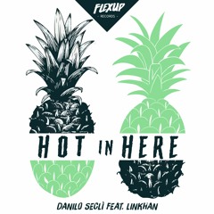 Danilo Seclì Ft Linkhan - Hot in here (Radio Edit)