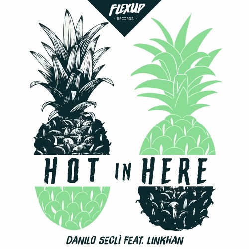 Danilo Seclì Ft Linkhan - Hot in here (Radio Edit)