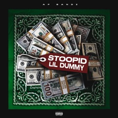 Stoopid Lil Dummy