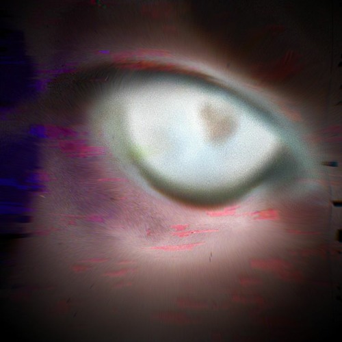 iv.