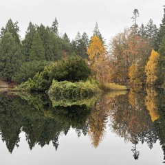 Jam 01 - Moog & Elektron