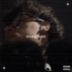 swagness.wav