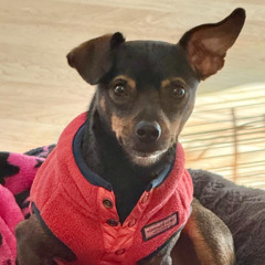 Ep. 86 - The Porch Friday