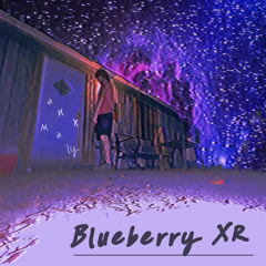 Blueberry XR (retake)