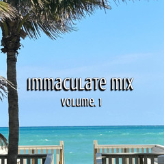 Immaculate Mix Volume. 1