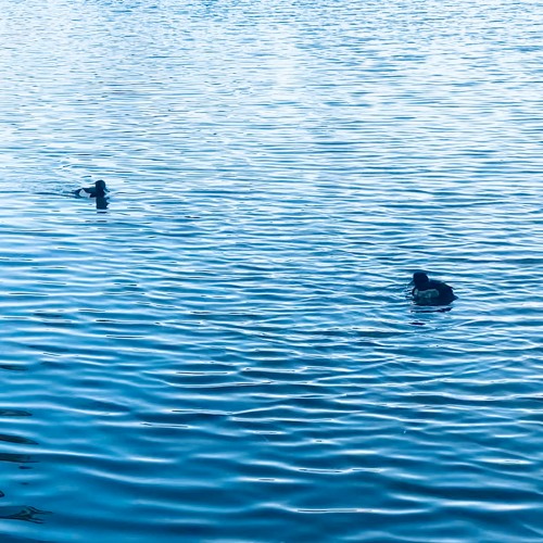 Glide