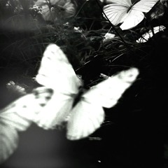 Butterfly - Melly Goeslaw ( cover by PI7U )