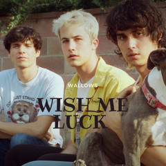 Wallows - Wish Me Luck (M&G Virtual Concert)