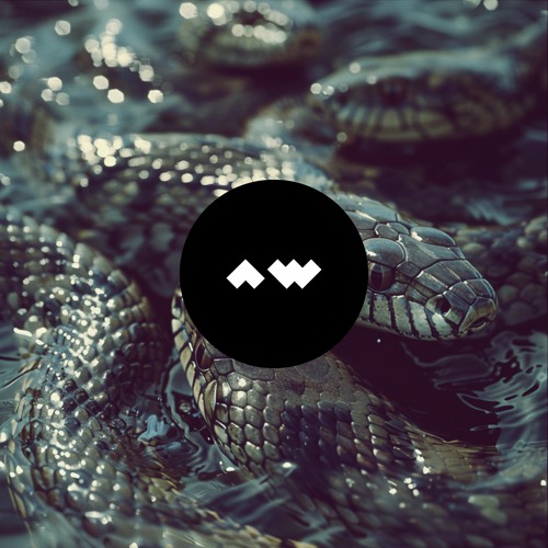 Joey Risdon - Perception