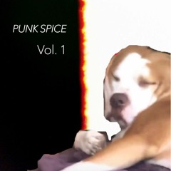 Punk Spice Volume 1