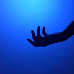 You Know (What I Need)