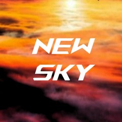 New Sky {electronic,Drum and Bass}(Nonprofit)
