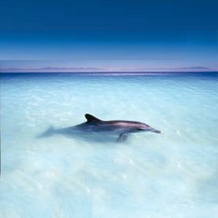 Moccondo Baile Mixtape I