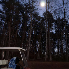 eyesplice x obscured wingtip memoir - honesty is the worst policy