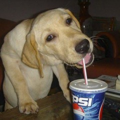 songs that sound like soda