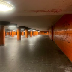 Jungle of Berlin