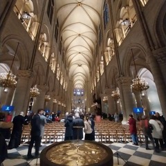 Au-delà des pierres, le vrai message de Notre-Dame de Paris