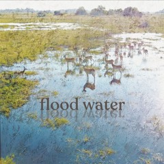 Flood Water