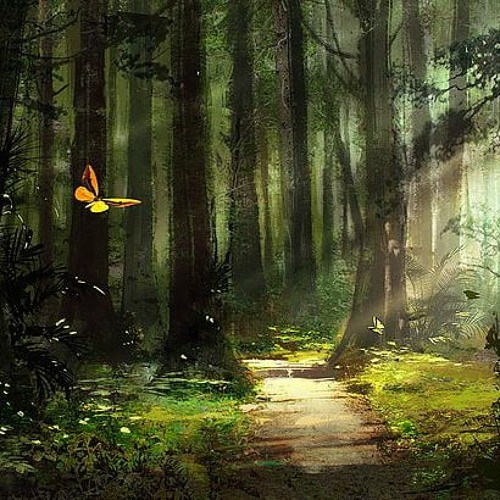 🌲🍄 En Chemin  🍄🌲