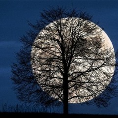 NỖI ĐAU CHẲNG NGUÔI NGOAI - VIẾT LONG