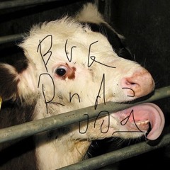 PAIN RELIEVER - BUG Radio 009 w/ bug_eyes01