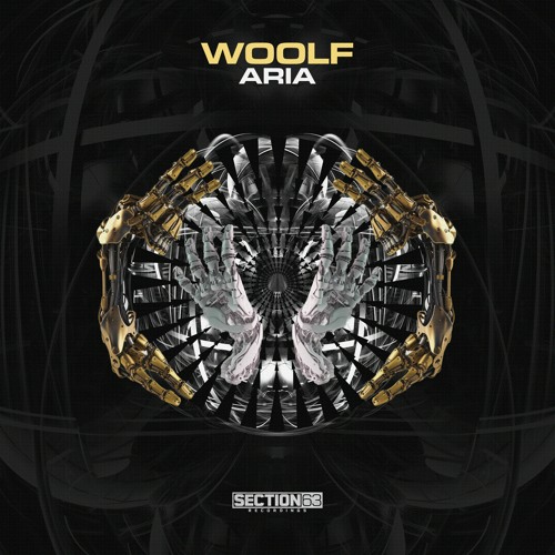 {Premiere} Woolf - Low Contrast (Section 63 Recordings)