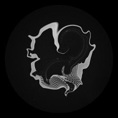 SET JUNIO /  DISANT PROJECT