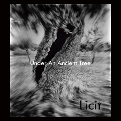 SUB_tl 079_Licit_Under an Ancient Tree