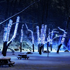 Don Miguelo Bachata Popurri 2023 (Puerto Plata Live 2023)