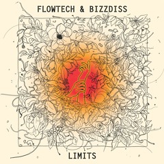 Bizzdiss - Limits
