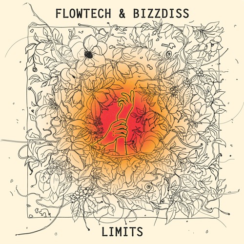 Bizzdiss - Limits