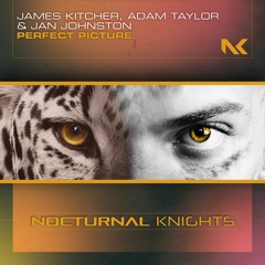 James Kitcher, Adam Taylor & Jan Johnston - Perfect Picture TEASER