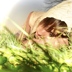 birds dream in color