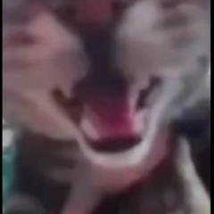Possesion