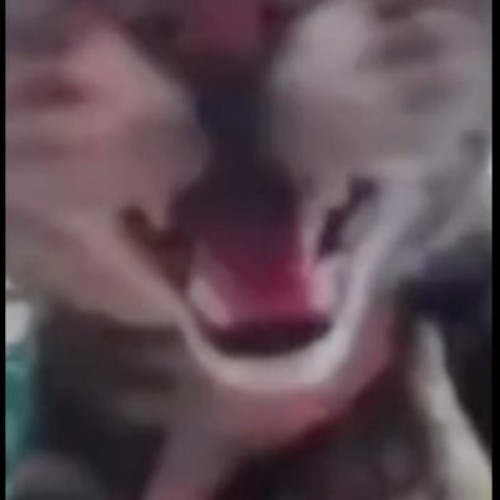 Possesion