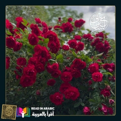 من لي سواك _عمر بهاء الدين الأميري _ بصوت _ نزار طه حاج أحمد