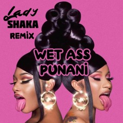Wet Ass Punani (Lady Shaka Remix)