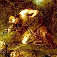 Narcisse (Work in Progress)