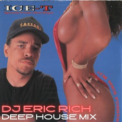 Ice T - I'm Your Pusher (Deep House Mix)