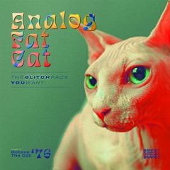 Analog Fat Cat Demo