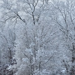 Snow - Daryel (improvisational duet).m4a