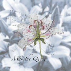 We're Gonna Sink Down